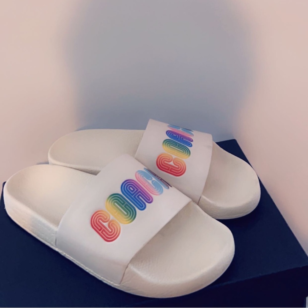 Rainbow Coach Slides